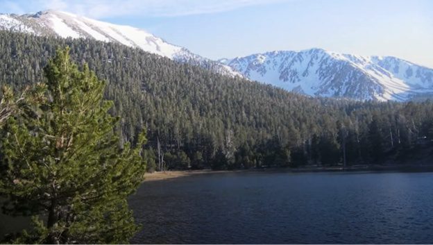 View of a lake with a forest of trees and snowy mountains in the background.