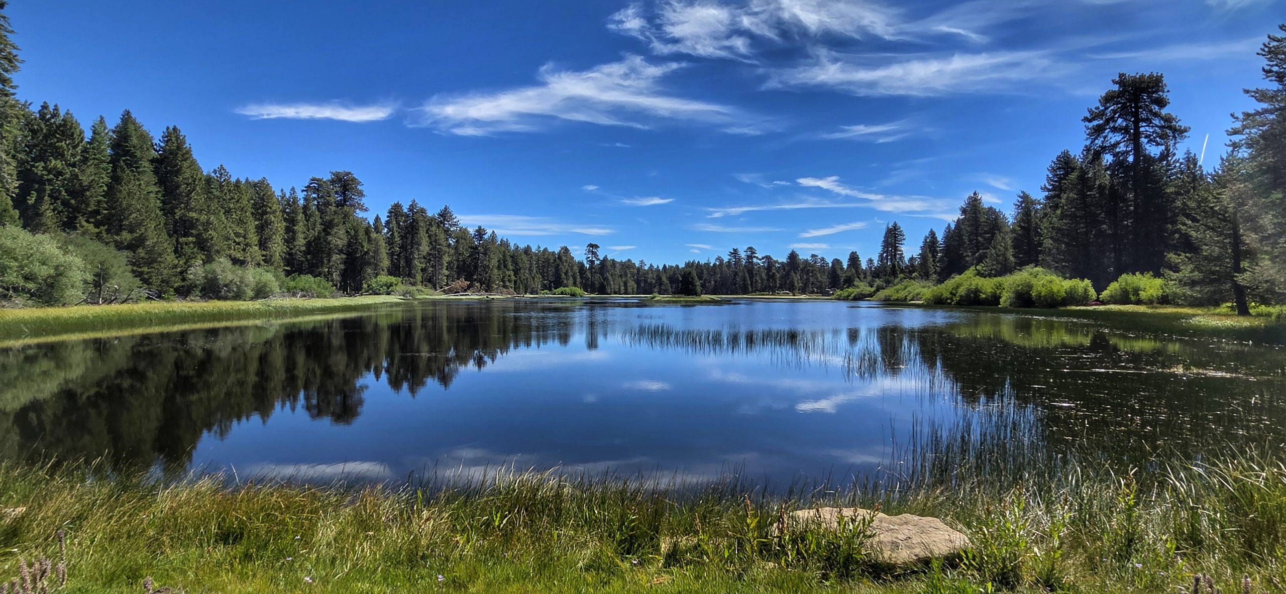 A lake surrounded by a forest under a clear sky with wispy clouds.