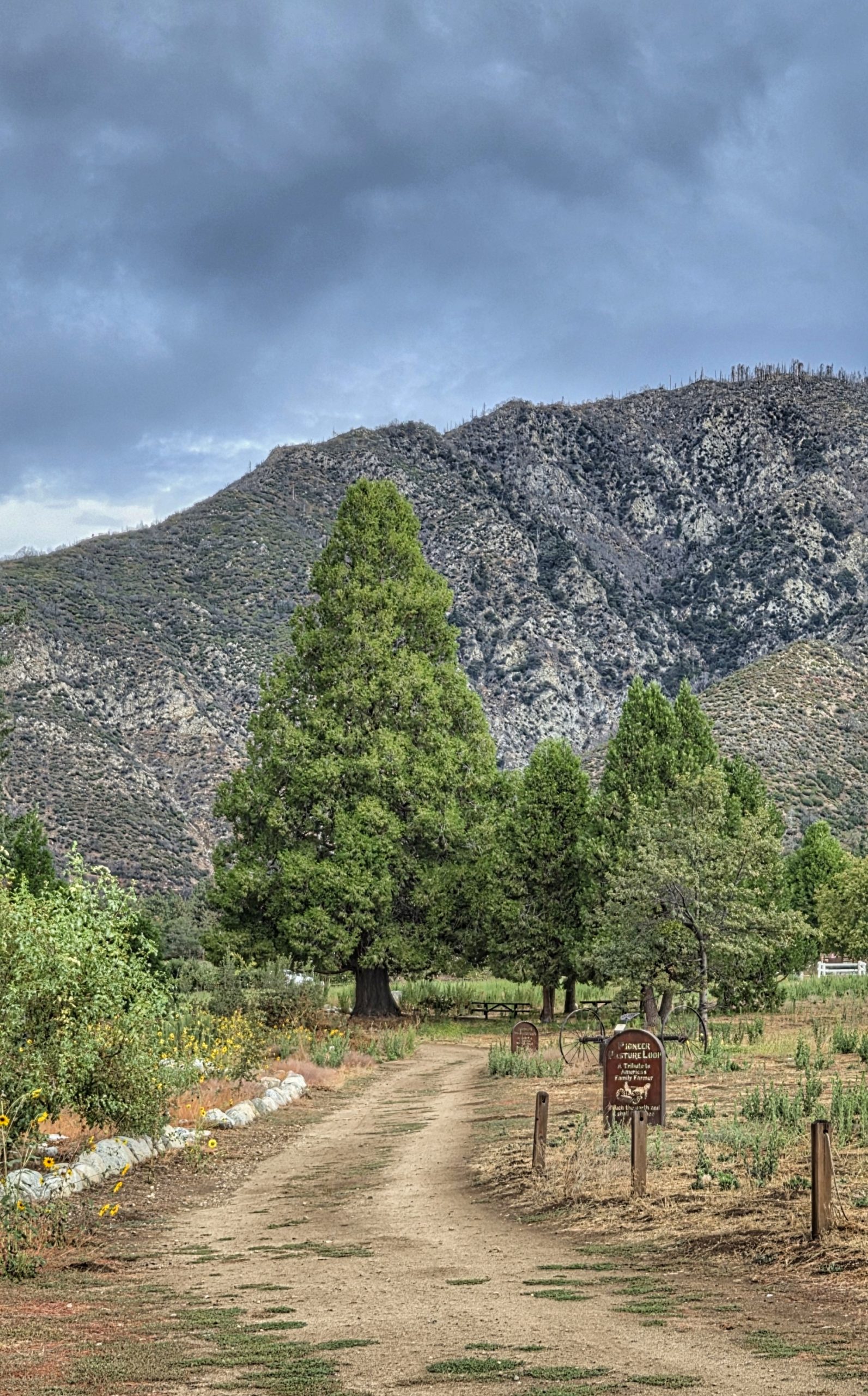 A dirt path winds through a scenic landscape with green trees and wildflowers on either side. In the distance, there are impressive, rugged mountains under a cloudy sky. A wooden sign with text is visible alongside the path.