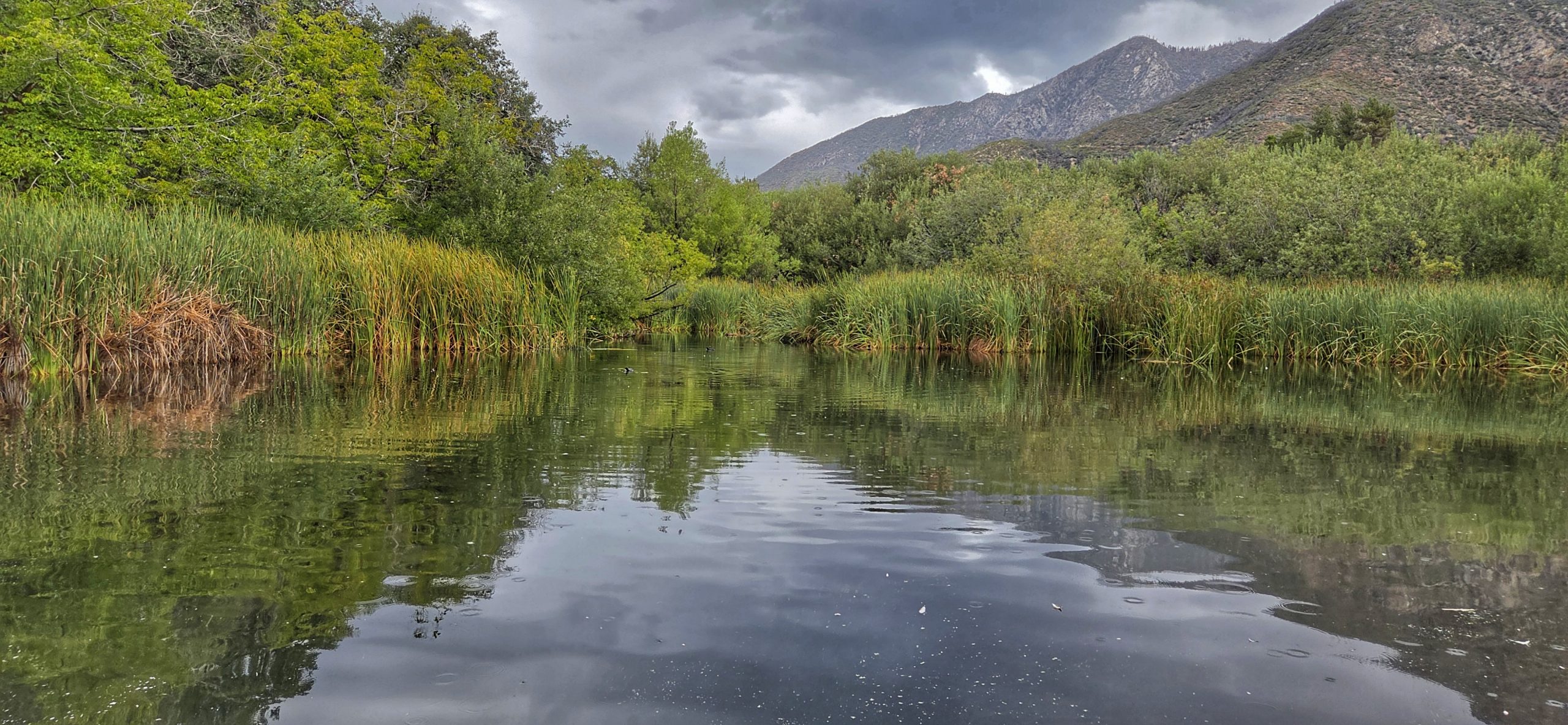 A serene landscape features a calm river surrounded by lush greenery and tall grasses. In the background, low mountains rise under an overcast sky, creating a peaceful and natural scene.