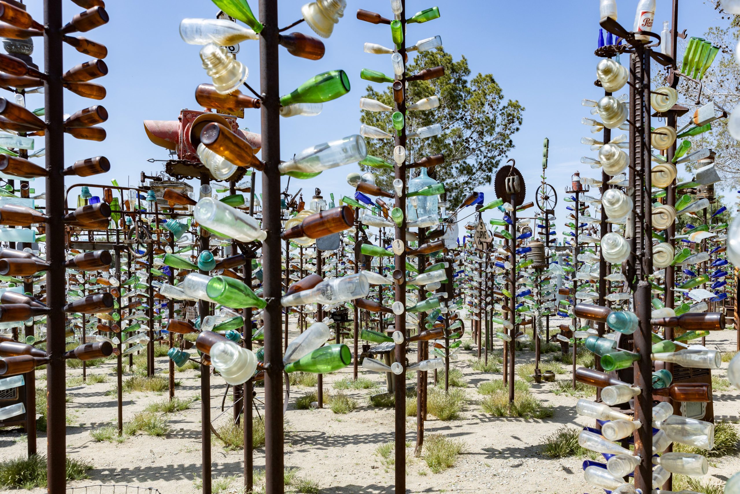 1M3A5952 - Bruce Herwig Colorful glass bottles arranged on old metal pipes and tree limbs.