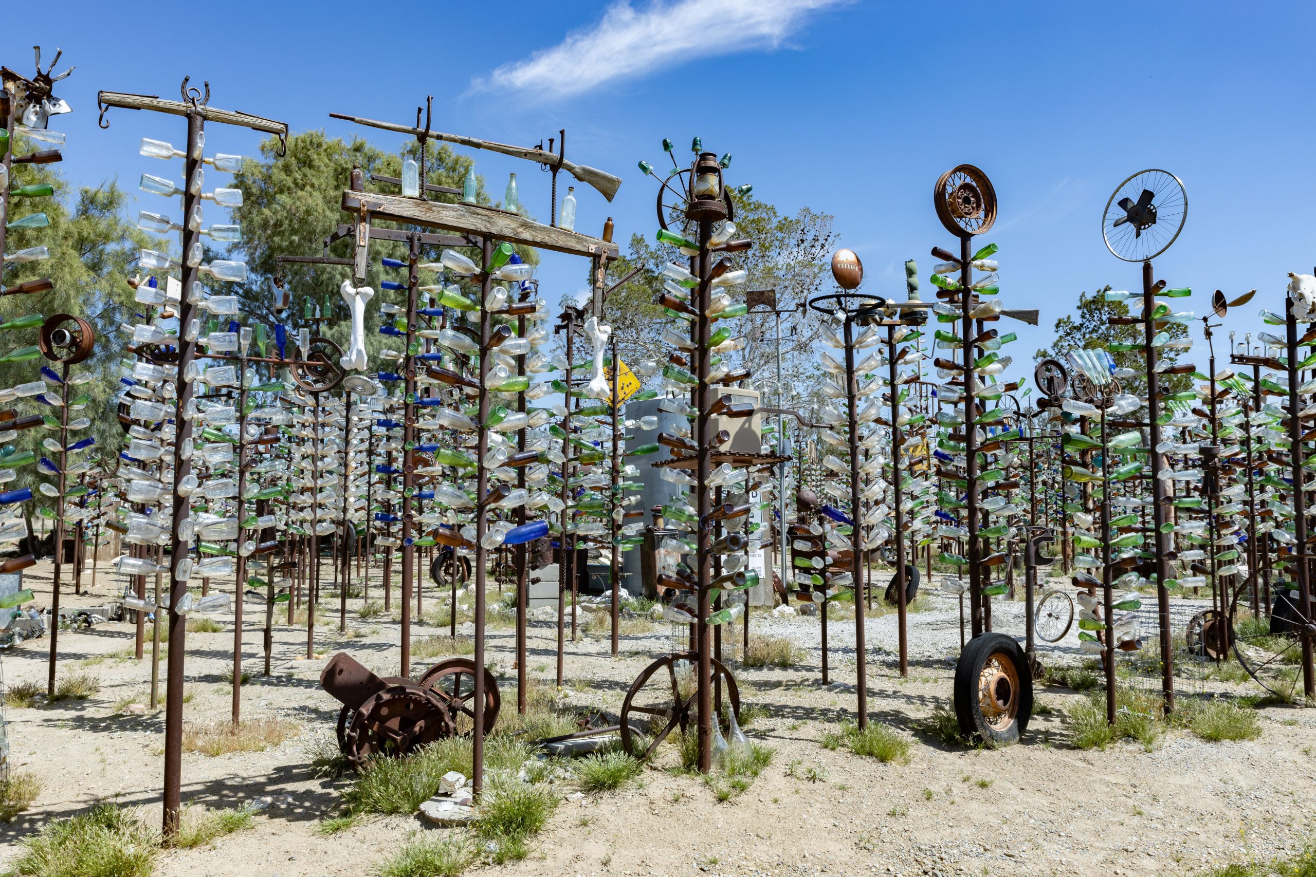 1M3A5961 - Bruce Herwig Colorful glass bottles arranged on old metal pipes and tree limbs.