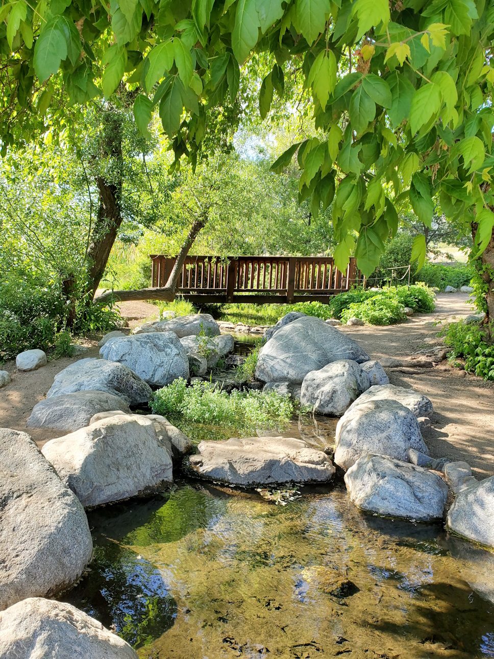 A wooden bridge over a small pond with trees in the background.
