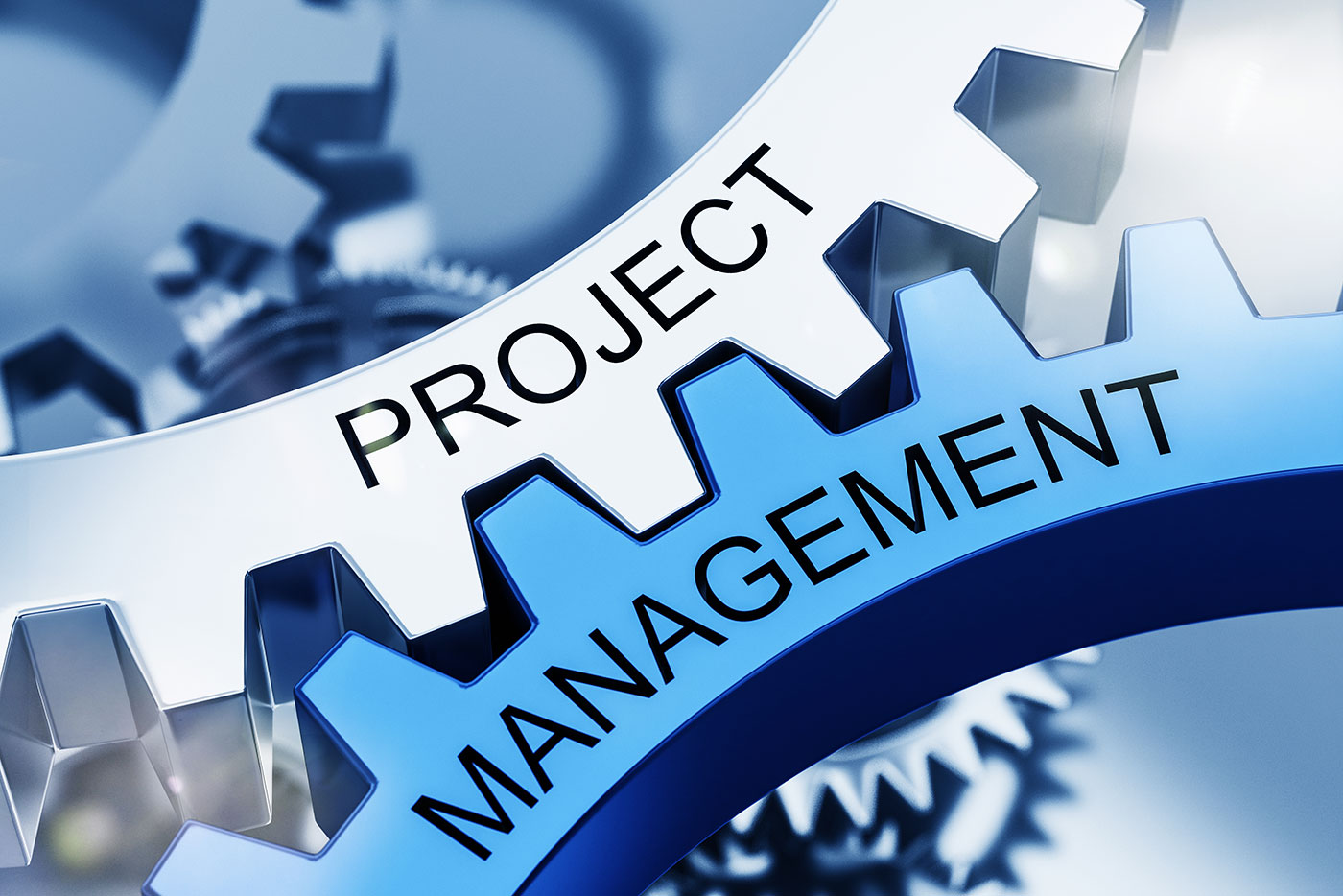 Cogs with the words "Project Management"