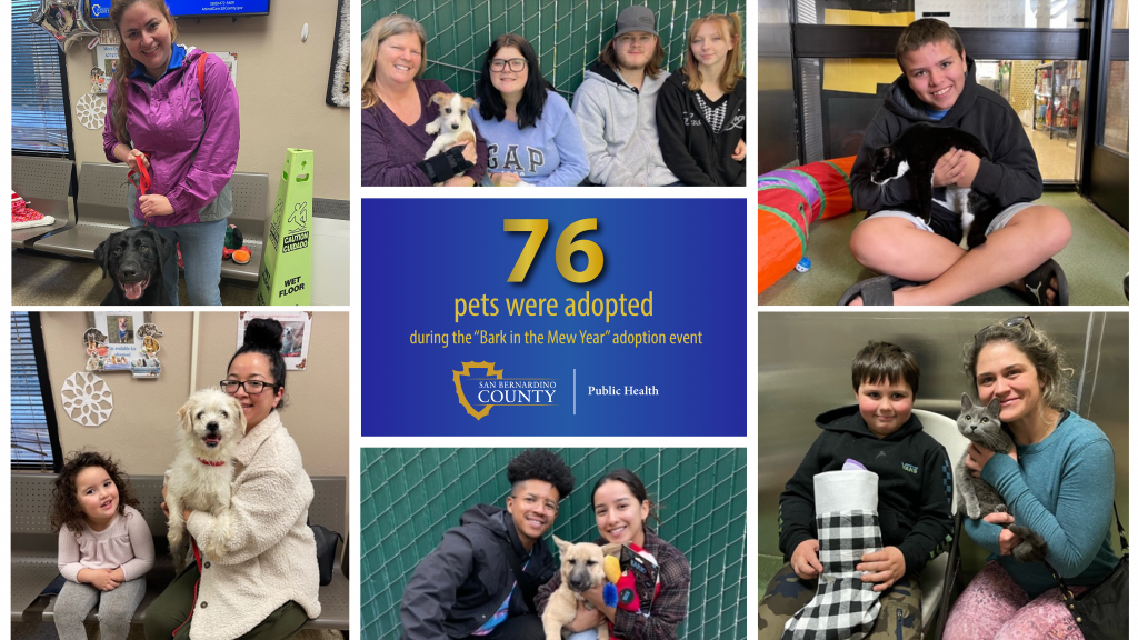 Bark in the Mew Year animal adoption event finds 76 homes for furry friends despite rain