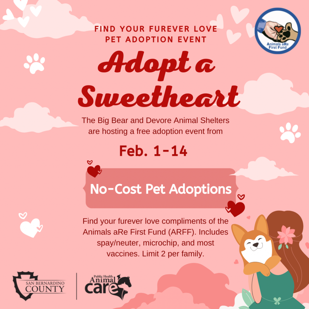 Animal Care launches ‘Adopt a Sweetheart, Find Your Furever Love’ free animal adoption