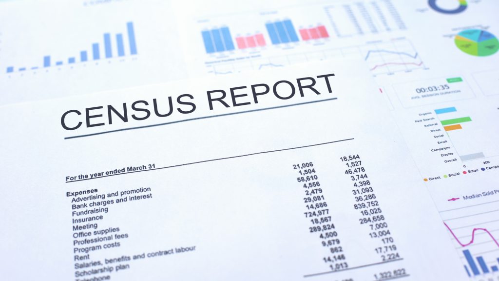 Census Report