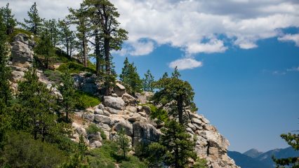 A photo of Pine Knot Trail in Big Bear Lake. A side of a mountain with trees against a blue sky with white clouds.