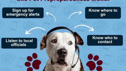 A graphic of a dog with a headset on looking away with words saying stay informed sign up for emergency alerts, listen to local official, know where to go and know who to contact with little paw prints on each side of the dog.