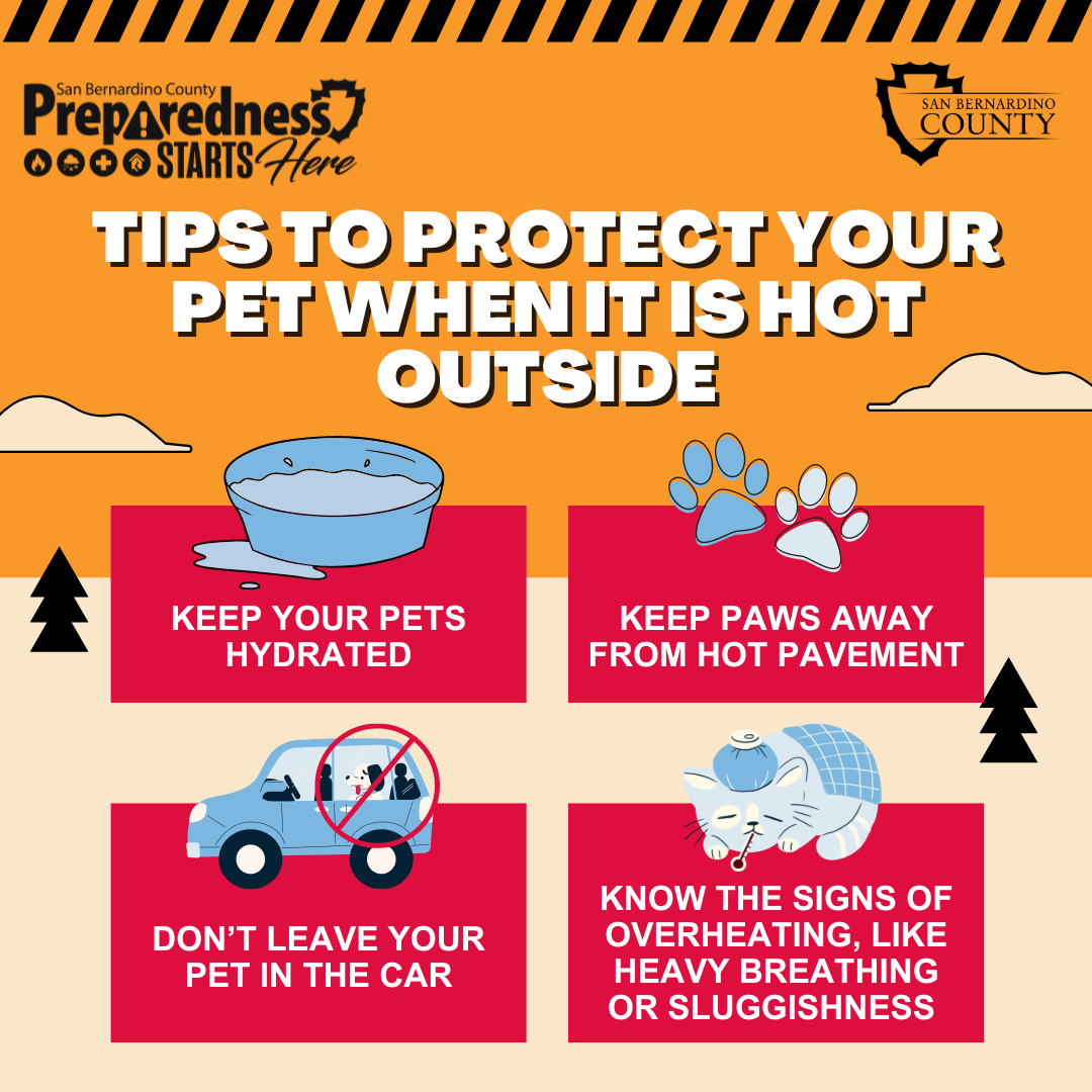 A graphic of a pet water bowl, paw prints, vehicle and pet in distress lying down with tips to protect pets when it is hot outside.