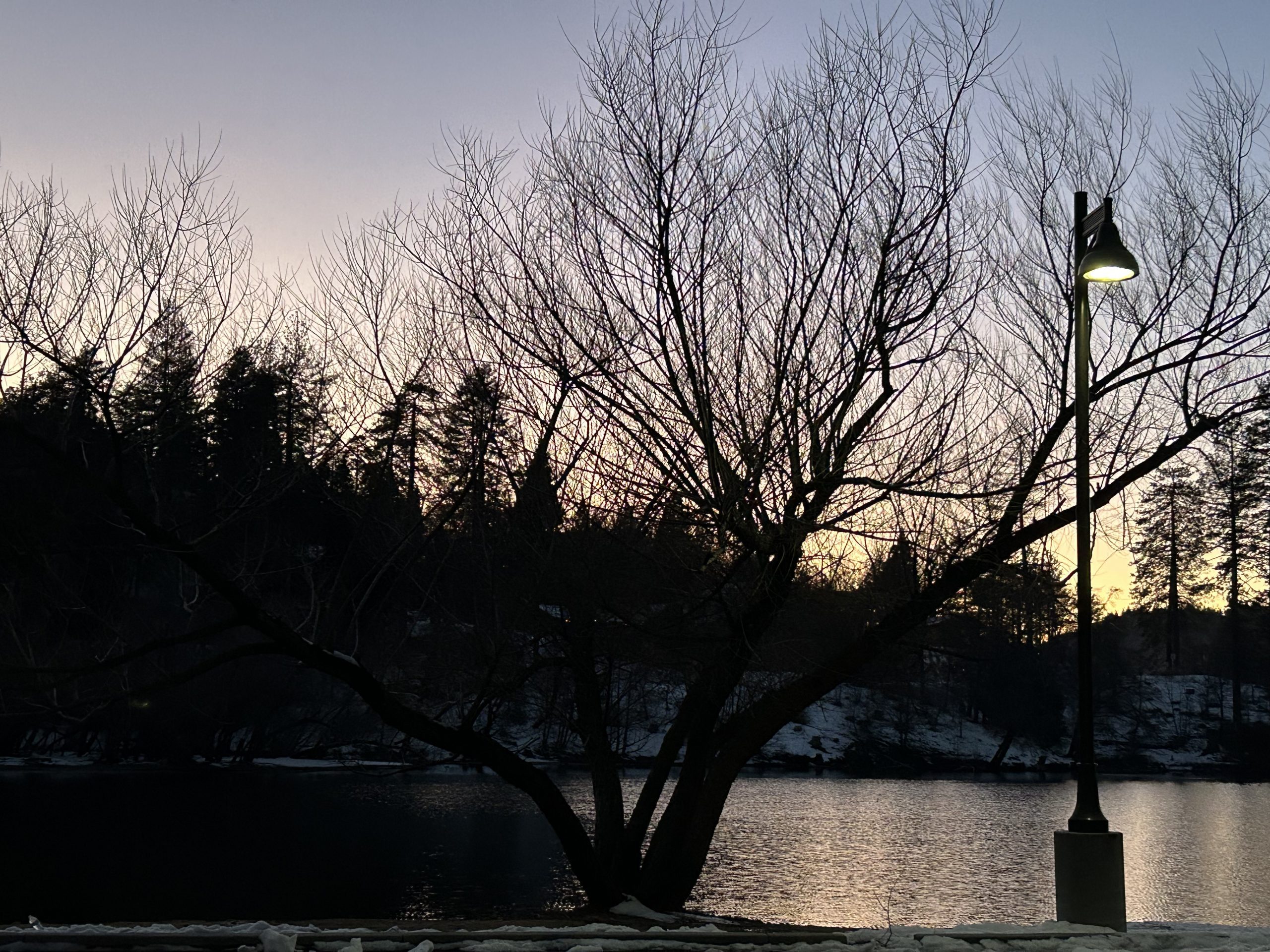 Mountain view at dusk in Crestline at Lake Gregory by Virginia Paleno.