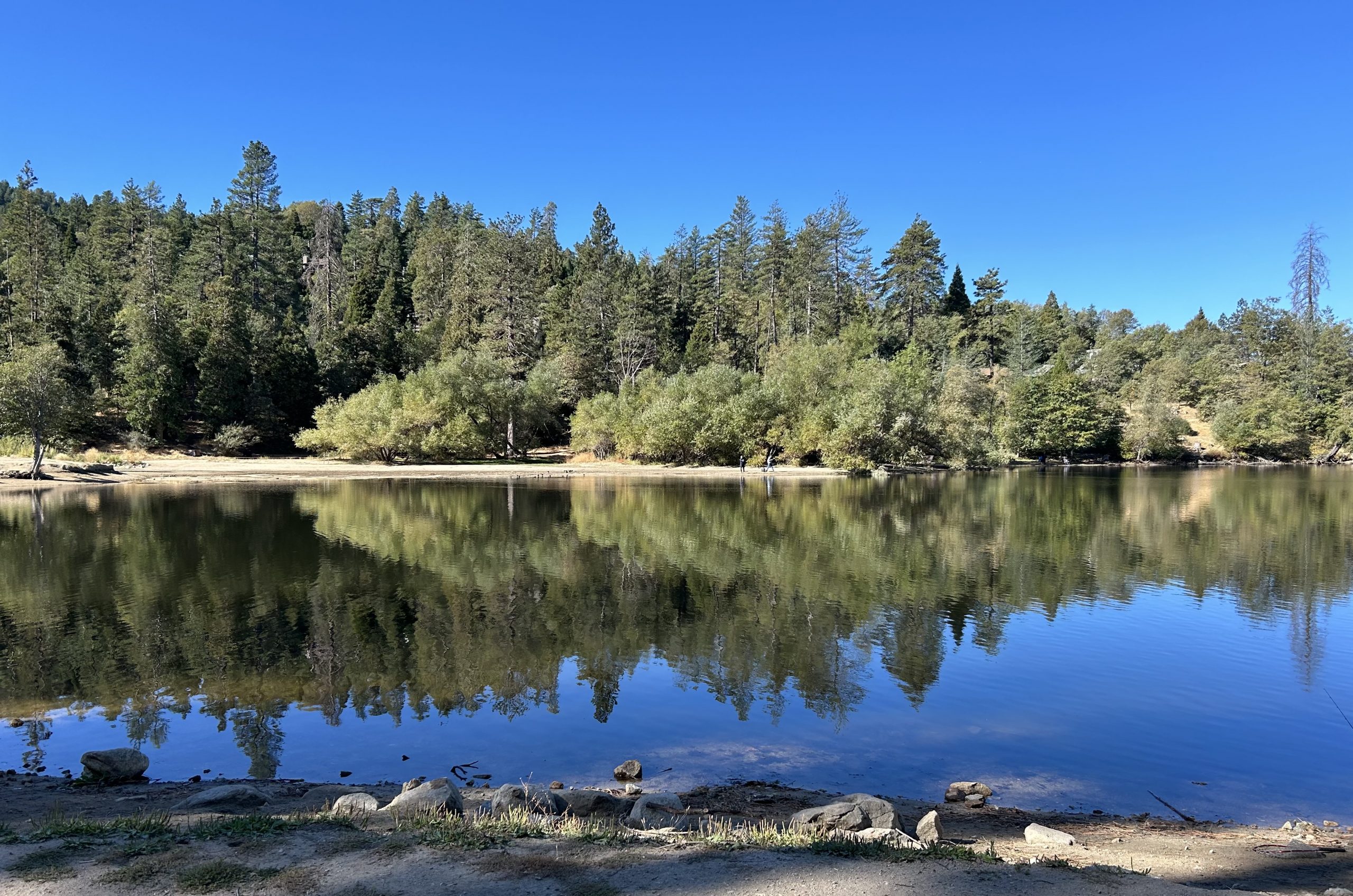 Mountain view in Crestline at Lake Gregory by Virginia Paleno.