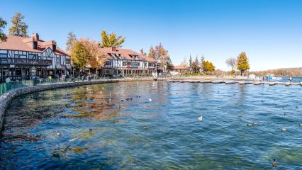 lake front and building with shops