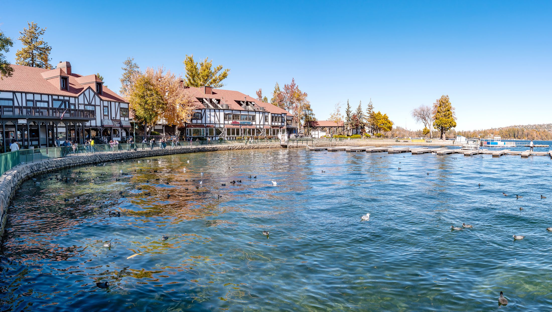 lake front and building with shops