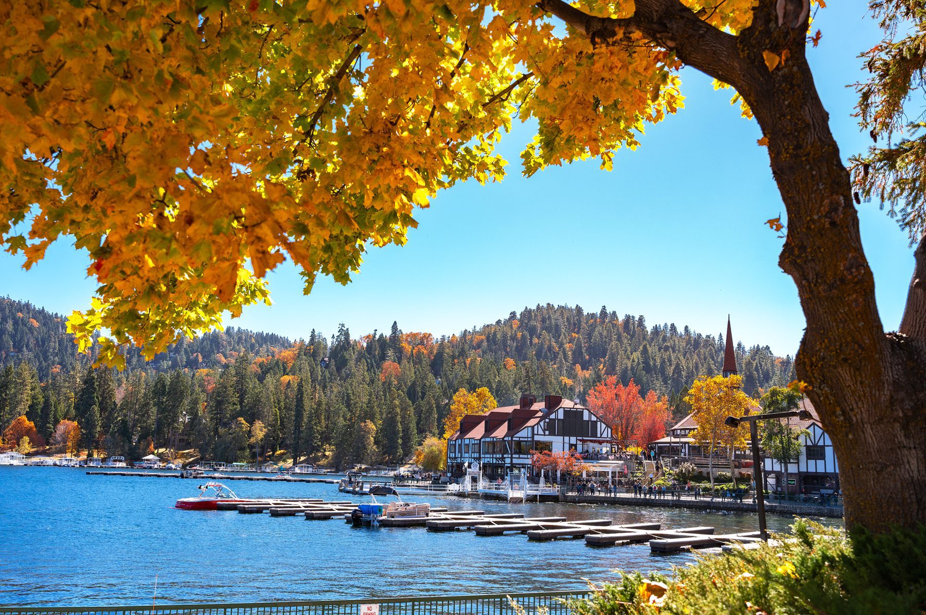 building and lake