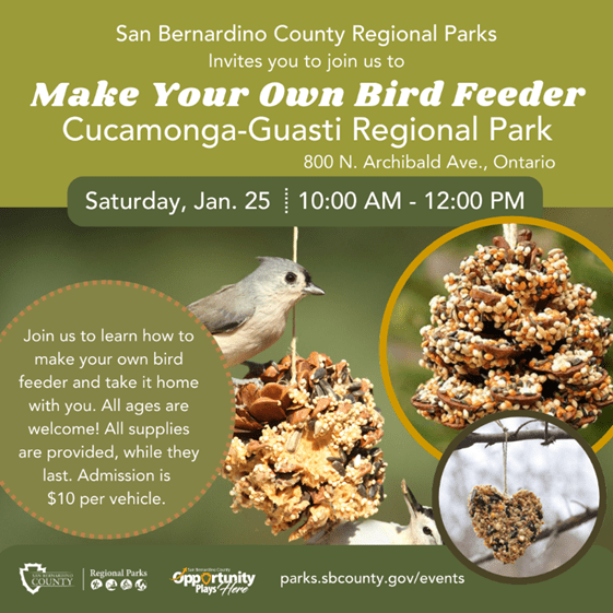 Make Your Own Bird Feeder at Guasti Regional Park