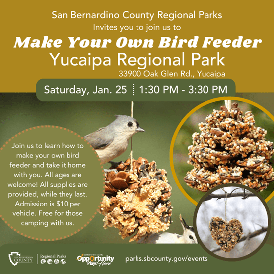 Make Your Own Bird Feeder at Yucaipa Regional Park