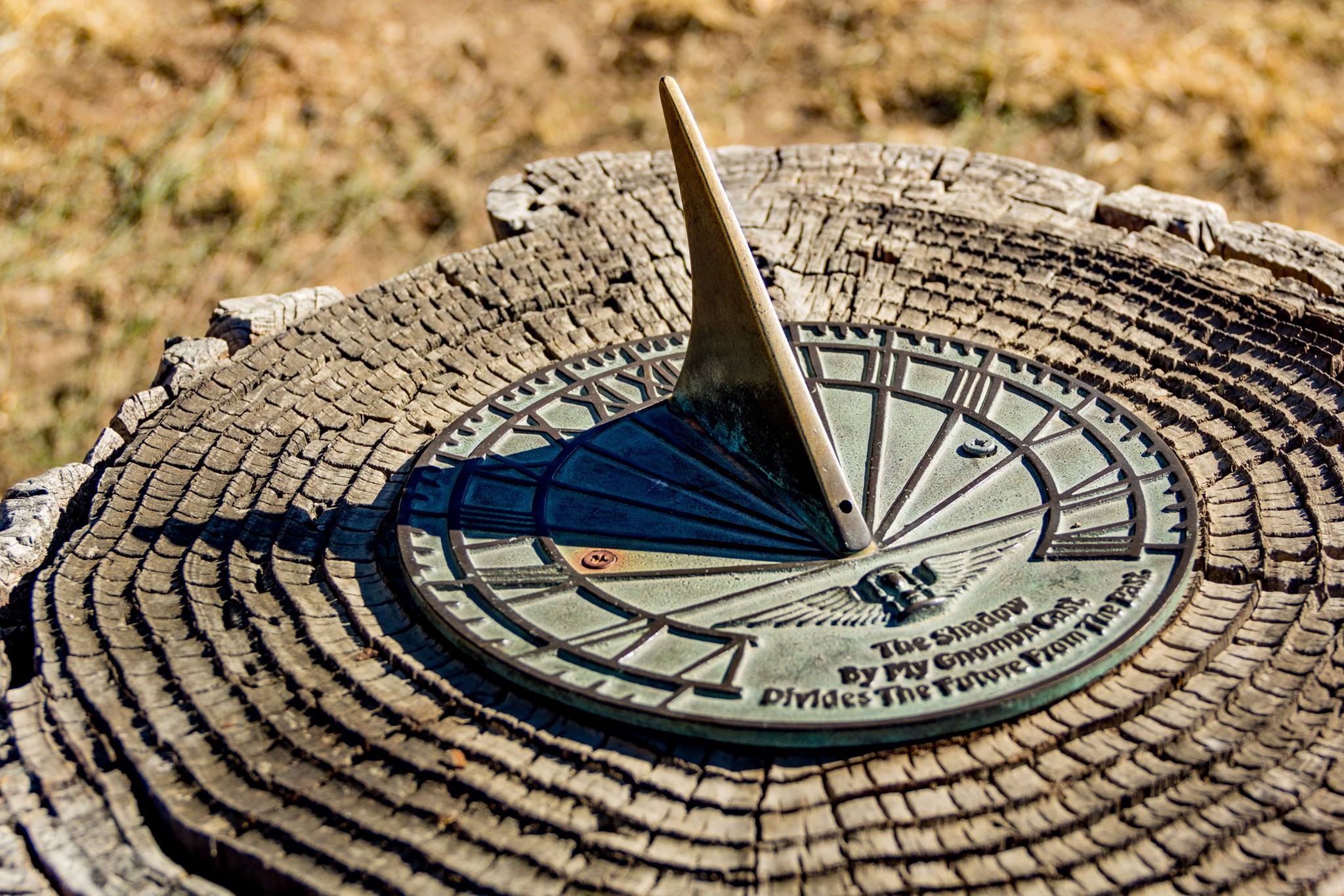 A close-up of an antique-style sundial set atop a cracked and aged tree stump in Oak Glen set against a dry grassy background.