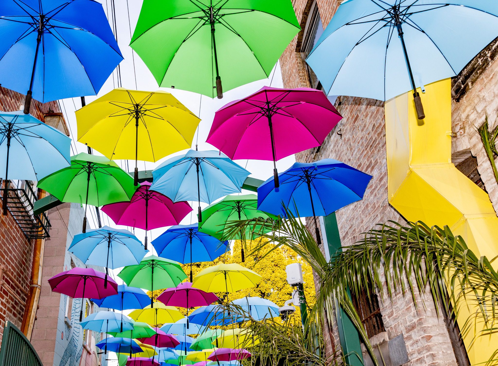 Pink, blue, yellow, and green umbrellas are hanging above a walkway with a yellow pipe in the background.