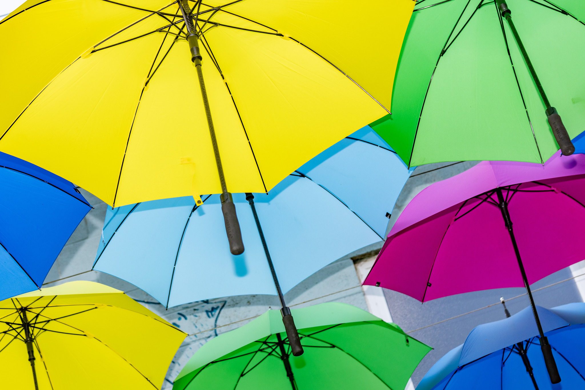 A close up of pink, blue, yellow, green and light blue umbrellas.