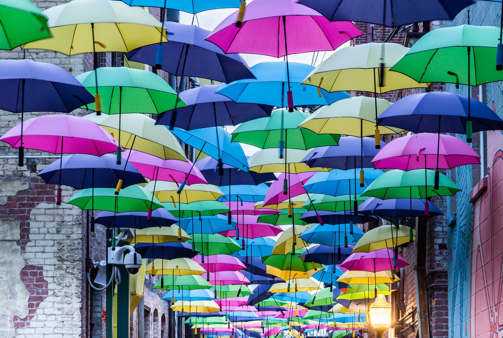 An alley featuring pink, blue, yellow, and green umbrellas with a brick building in the background.