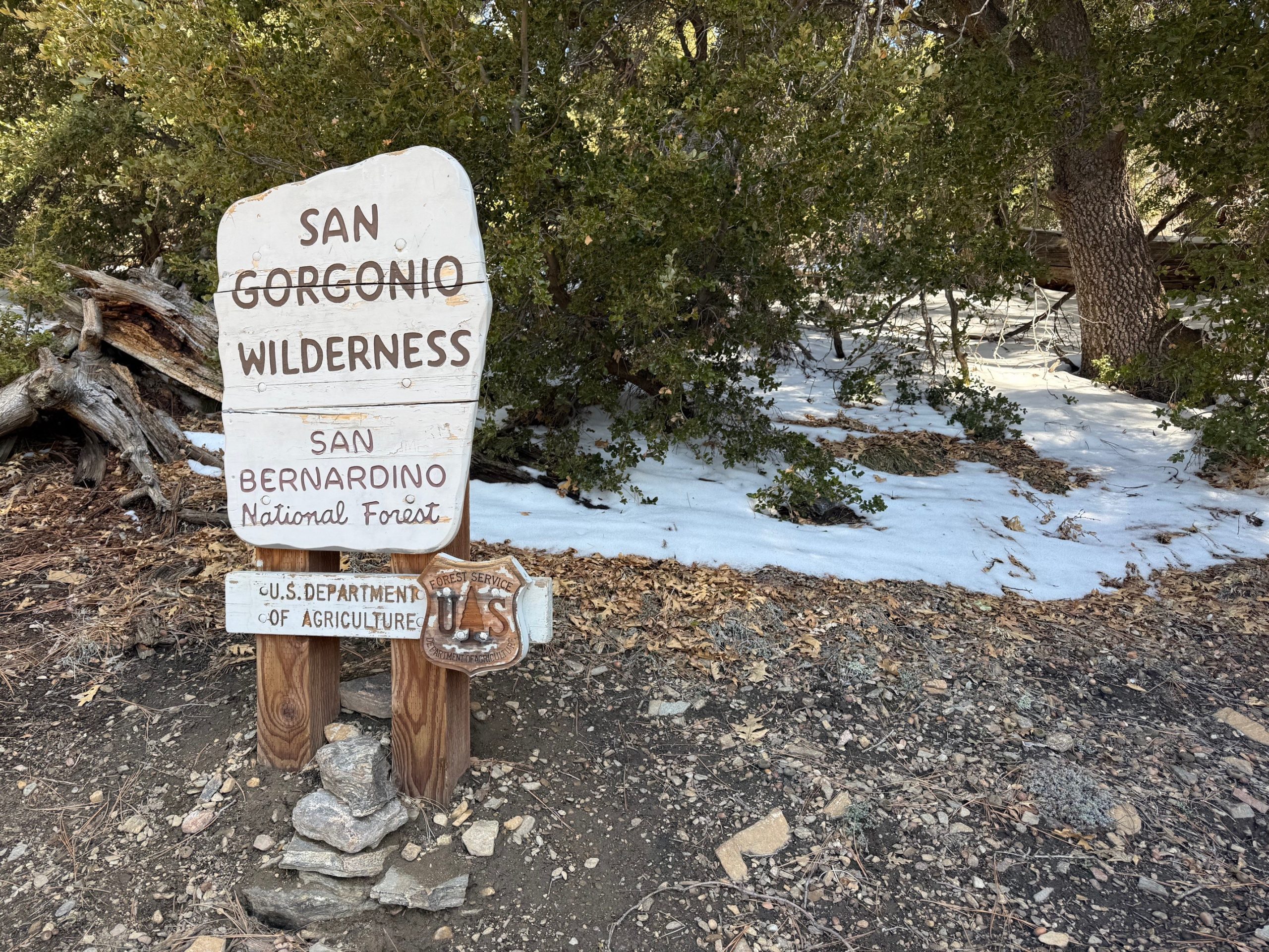 Sign stating: San Gorgonio Wilderness San Bernardino National Forest, U.S. Department of Agriculture.Rocks and fallen branches surrounded by snow-covered ground and tall trees in a forest.