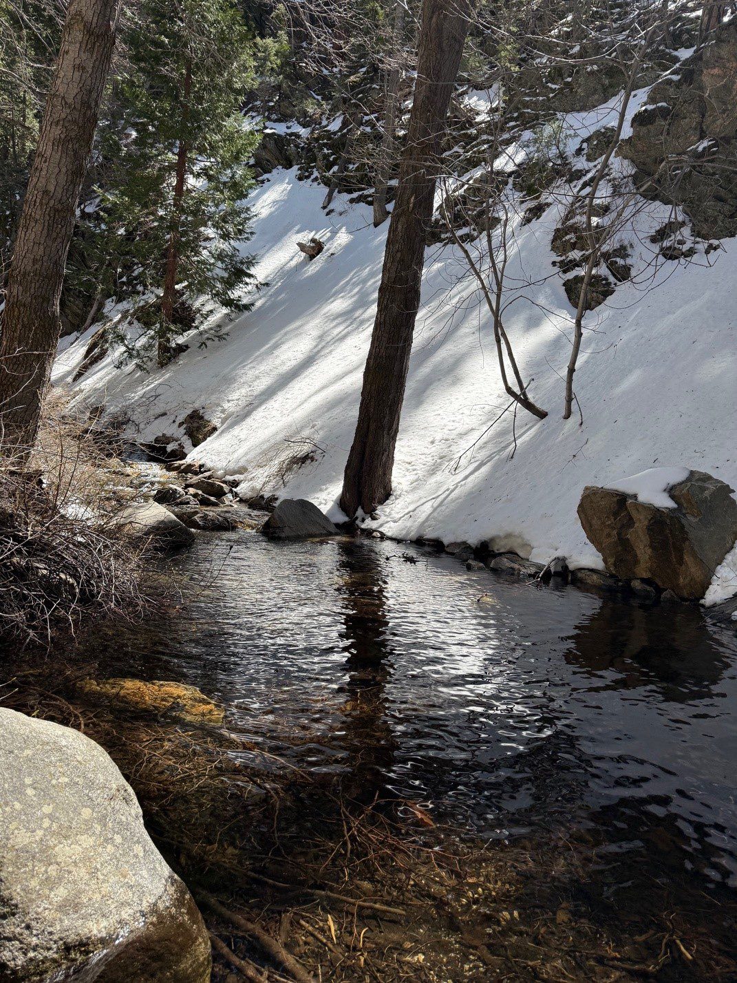 Water flowing down a small stream sorrounded by rocks, snow, and two trees.