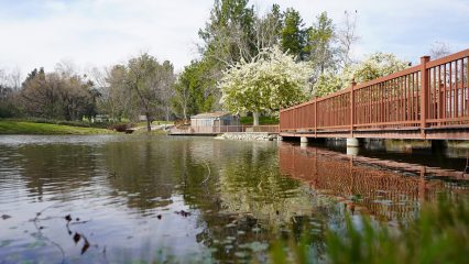 A view of Glen Helen Regional Park featuring a red bridge over a lake, surrounded by trees.