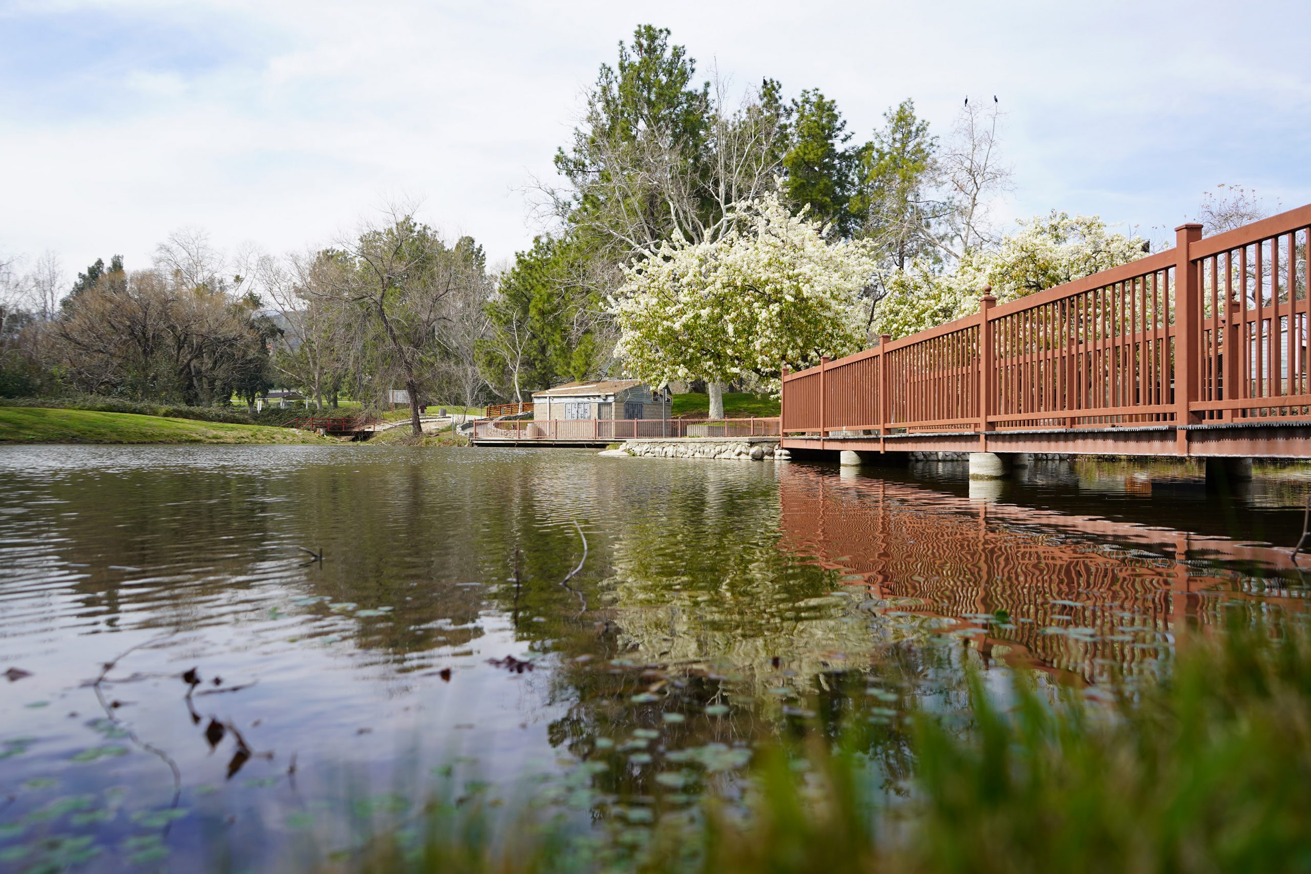 A view of Glen Helen Regional Park featuring a red bridge over a lake, surrounded by trees.
