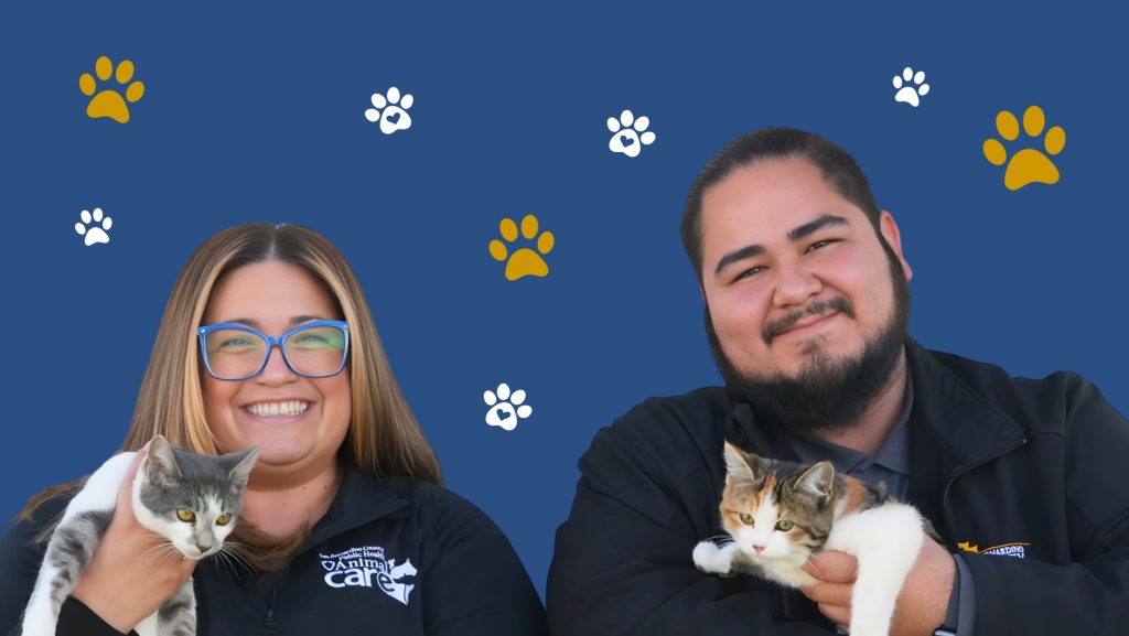 Two smiling animal care staff hold kittens against a blue background with paw prints, promoting pet adoption. 