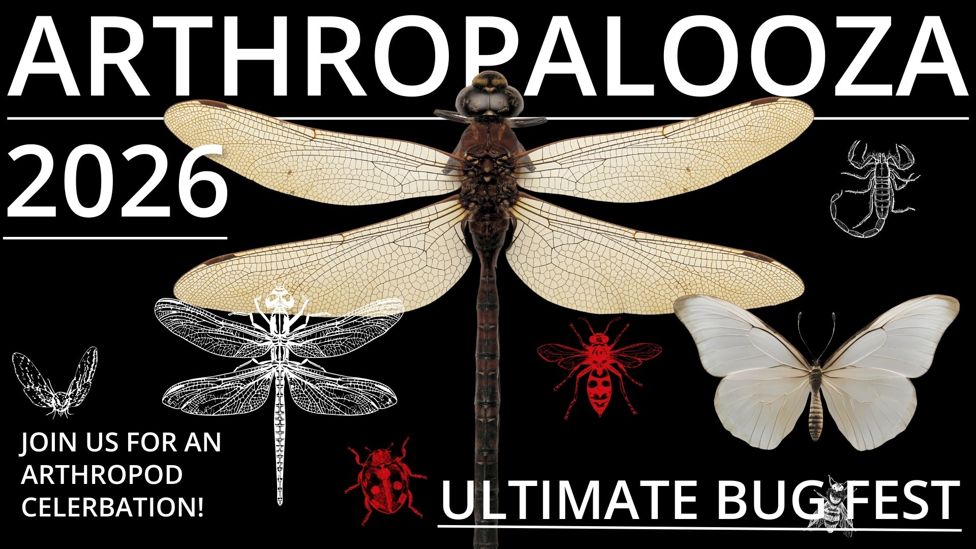 “Arthropalooza 2026. Join us for an arthropod celebration. Ultimate Bug Fest” featuring a large dragonfly centered on black, surrounded by butterfly, beetle, wasp, and scorpion illustrations.