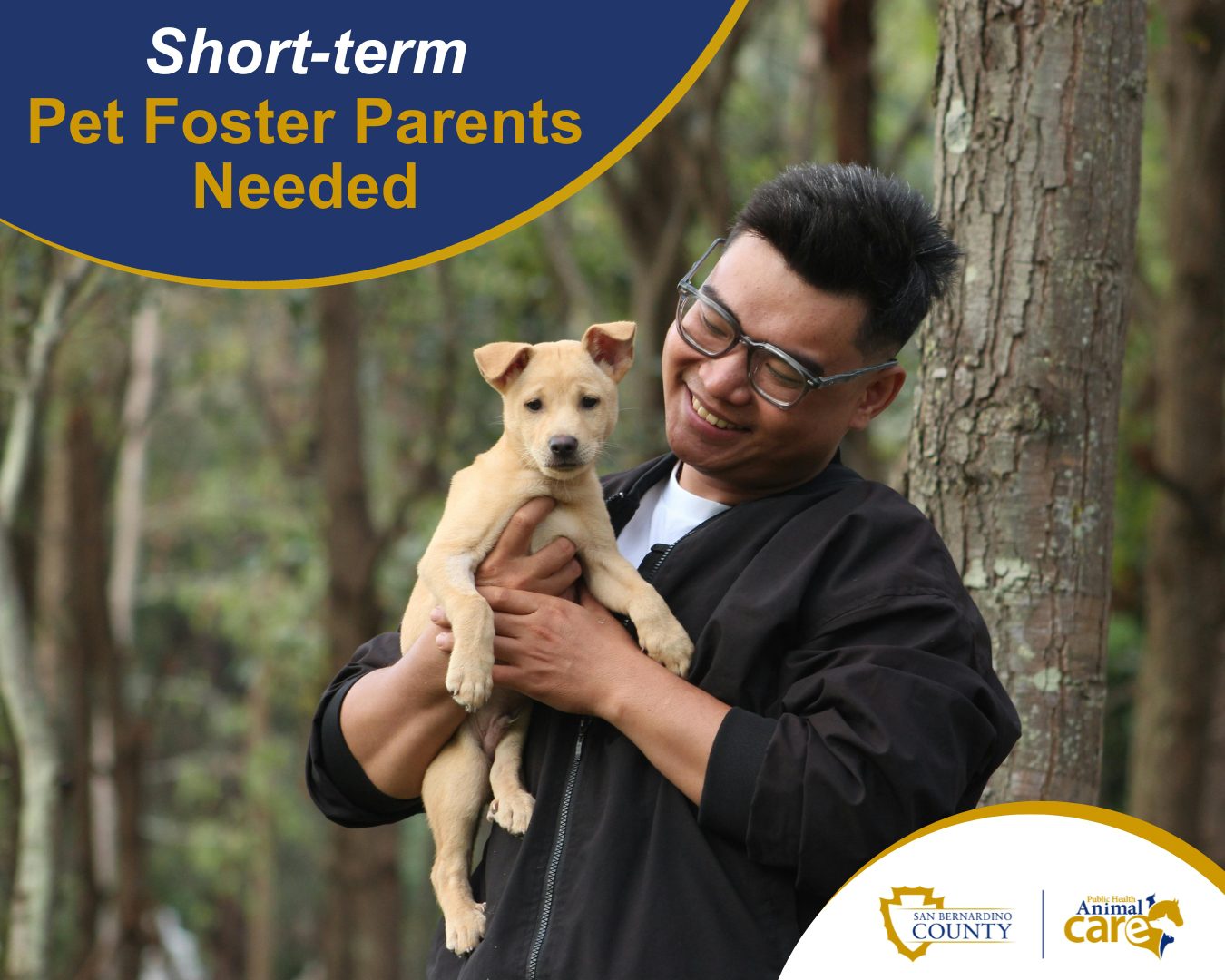 Person holding a small puppy in a park setting with overlay text asking for short-term foster parents and county logo.