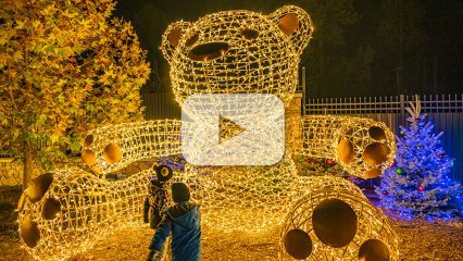 Kids look up at a large illuminated bear sculpture at Big Bear Alpine Zoo’s Wild Lights display with a video play button.