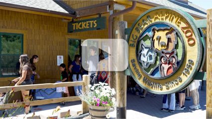 Customers line up outside the Big Bear Alpine Zoo ticket booth.