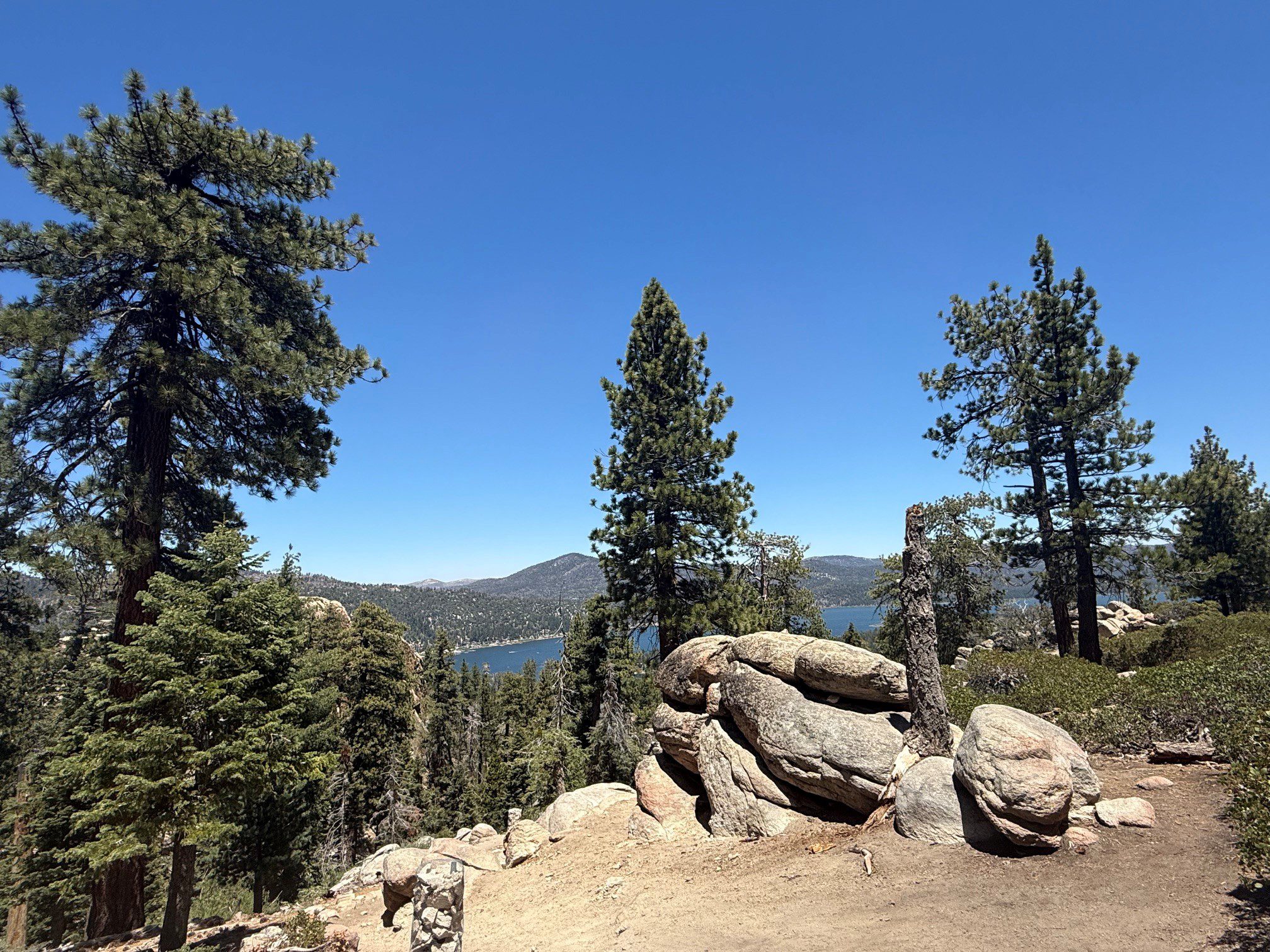 Scenic view of a forested area with tall evergreen trees and large rock formations in the foreground. In the background, a lake and distant mountains are visible under a clear blue sky.