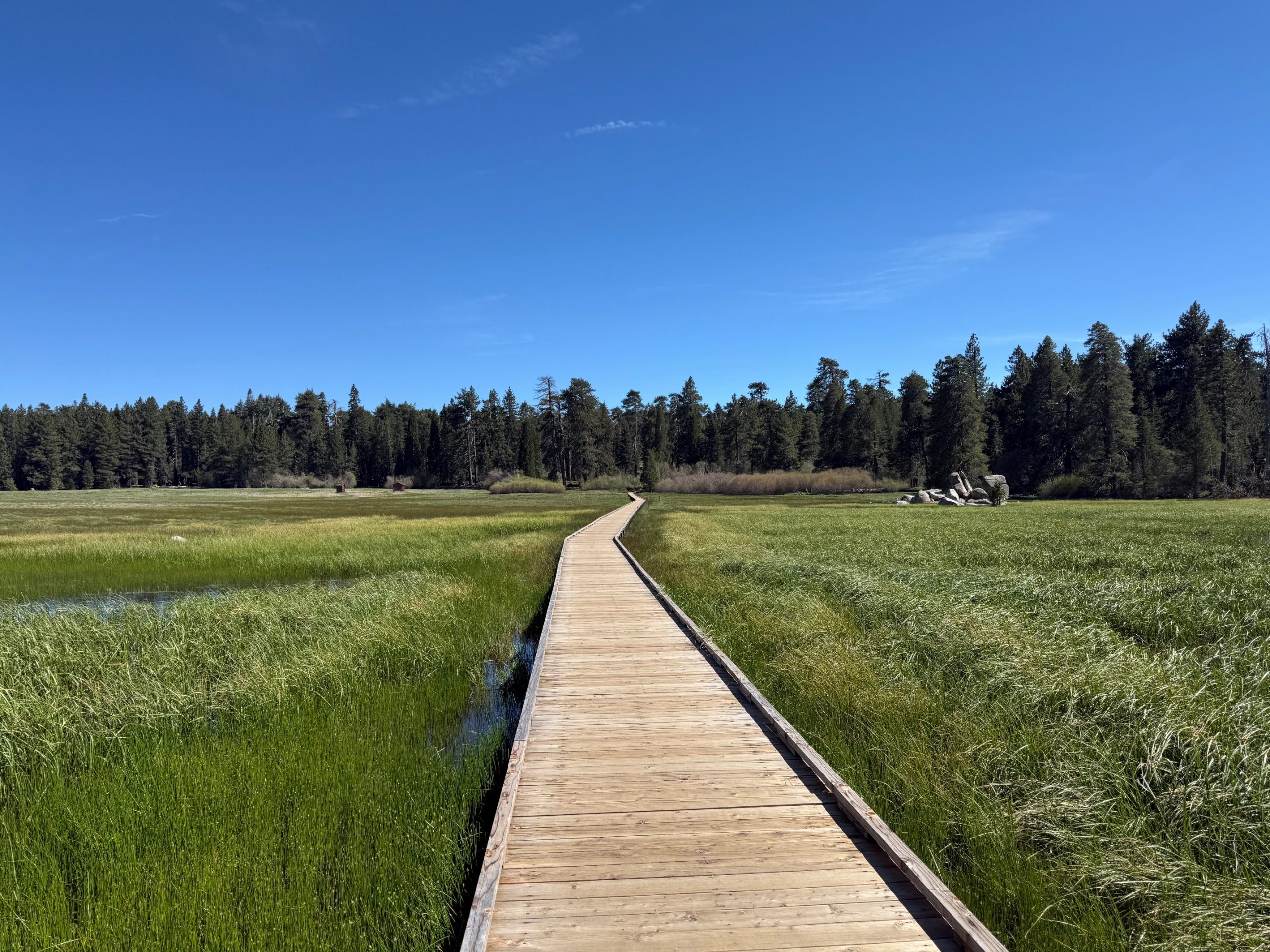 A wooden boardwalk stretches through a lush green meadow under a clear blue sky, surrounded by tall trees in Big Bear Lake.
