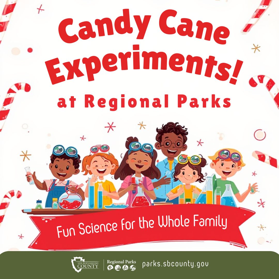 A group of children with candy canes and chemistry beakers with Candy Cane Experiments and Fun Science for the Whole Family.