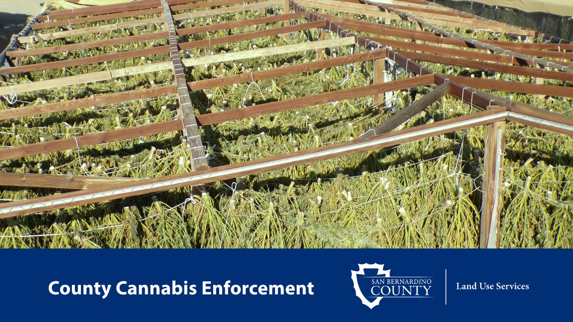 Outdoor drying racks filled with harvested cannabis plants above a blue banner with the words County Cannabis Enforcement and the Land Use Services logo