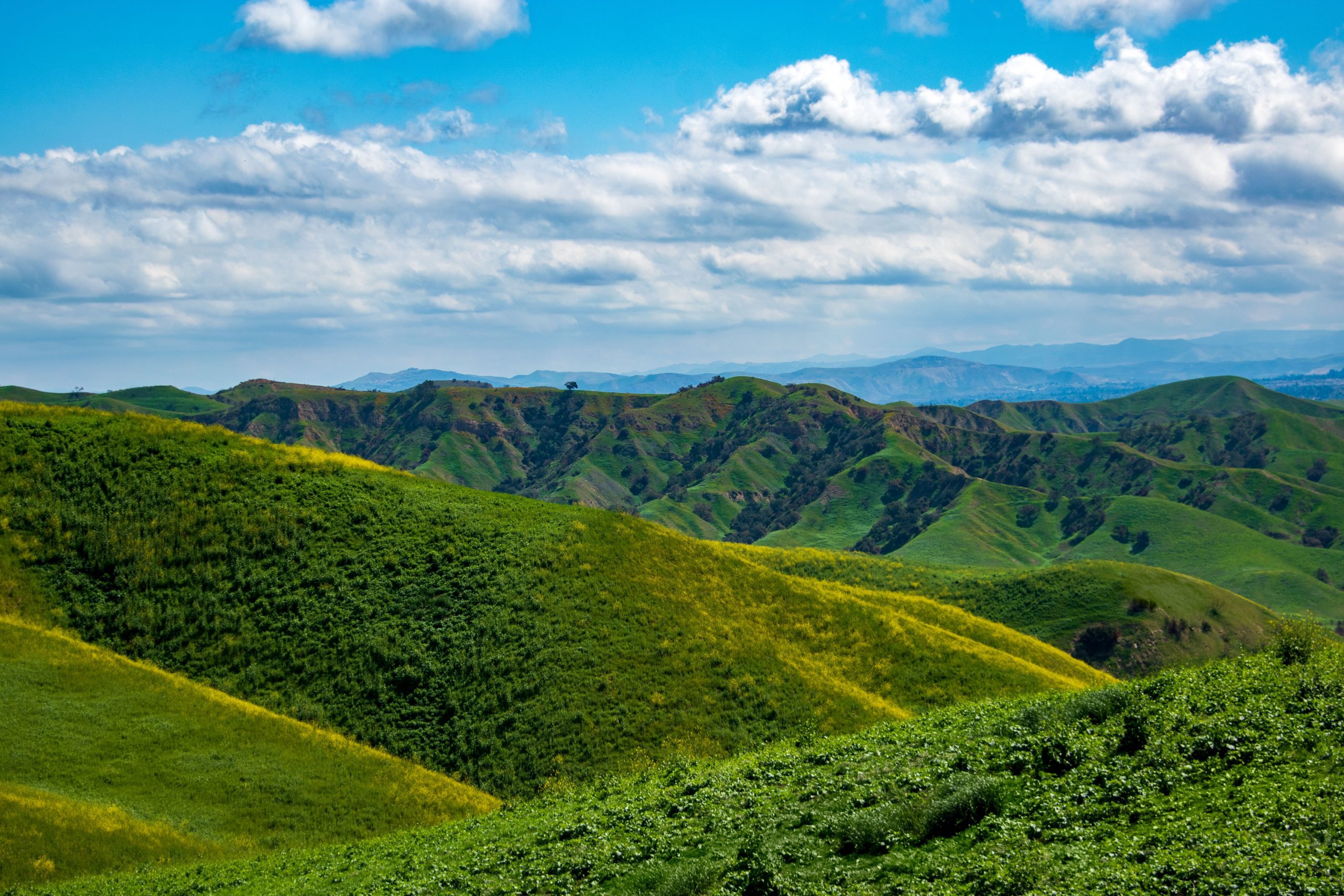 Rolling hills under a blue sky.
