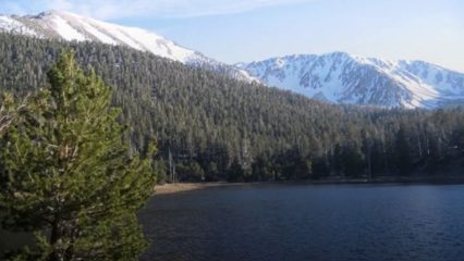 View of a lake with a forest of trees and snowy mountains in the background.