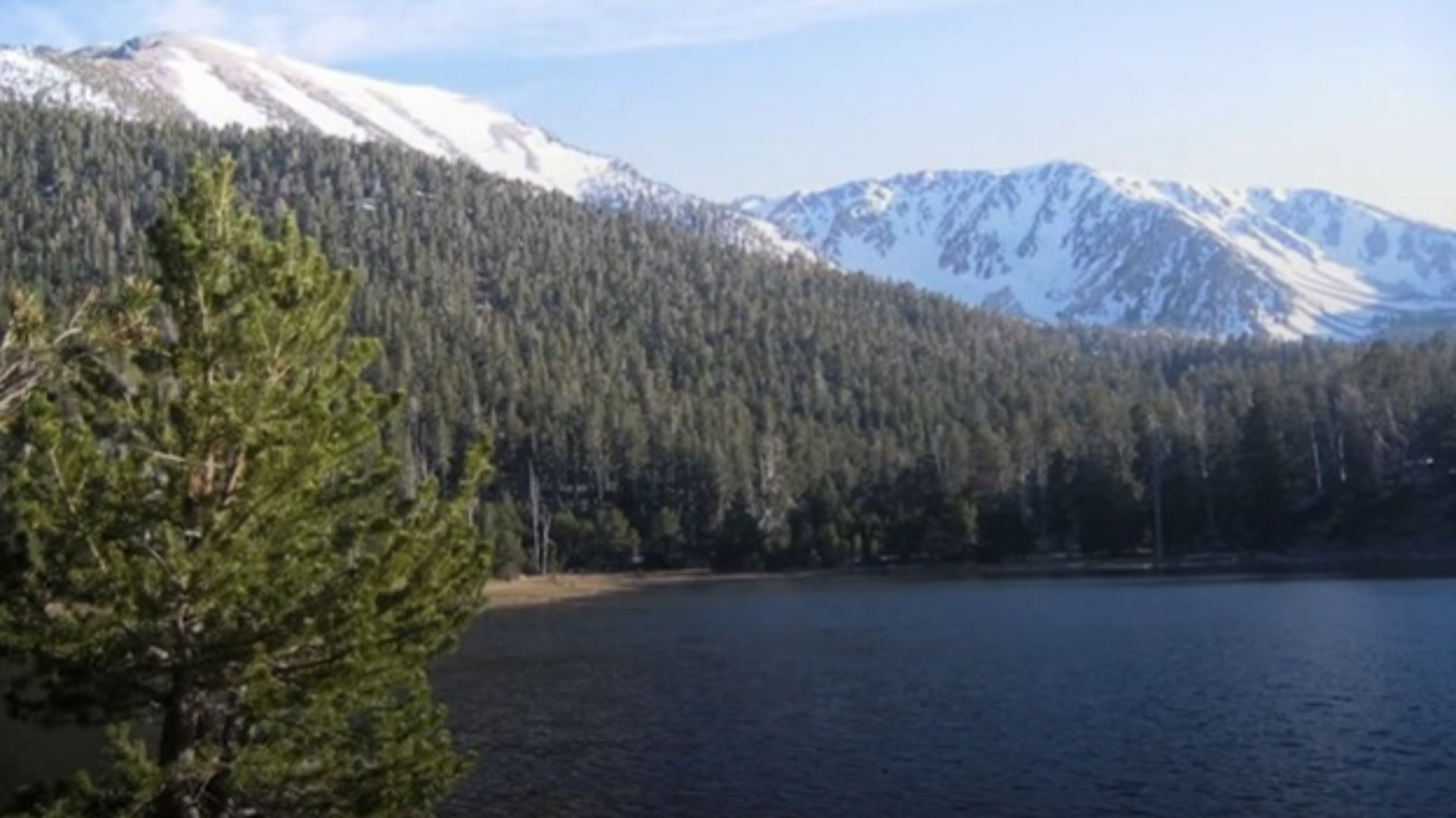 View of a lake with a forest of trees and snowy mountains in the background.