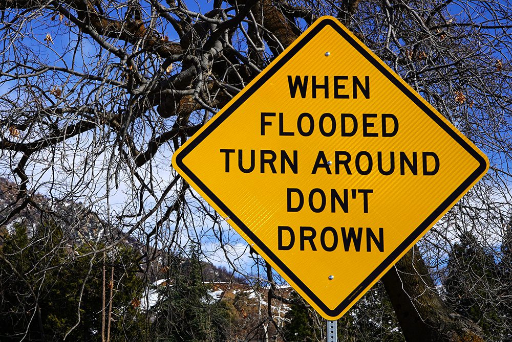 A yellow cautionary road sign that says "When Flooded Turn Around Don't Drown" beside a tree, with snowy mountains in the background.