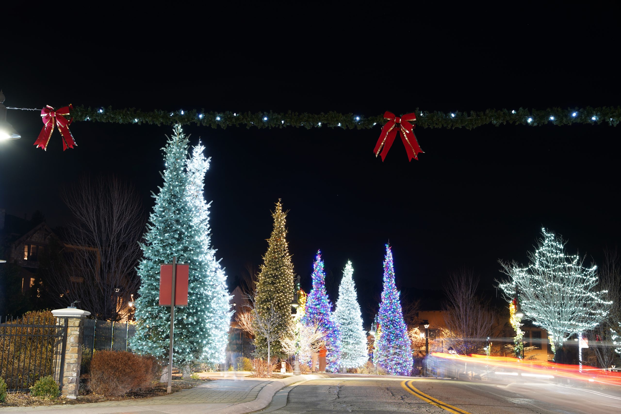 Several Christmas trees illuminated with colorful lights, large red bows, and an illuminated garland overhead.