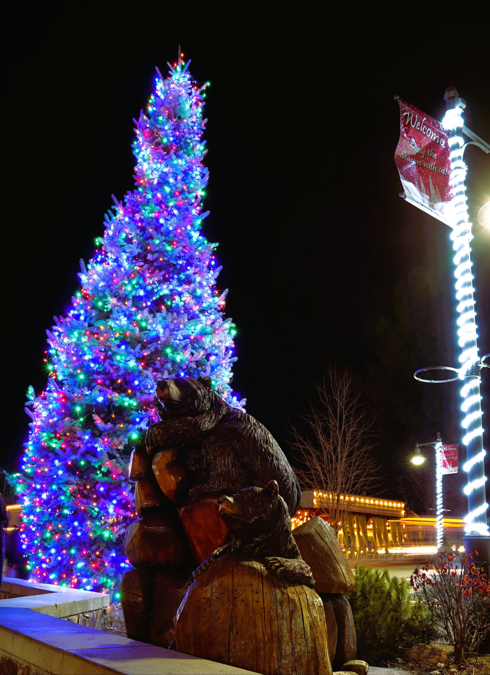 A view of several illuminated Christmas trees at night with pedestrians on the sidewalk and moving vehicles in the street.