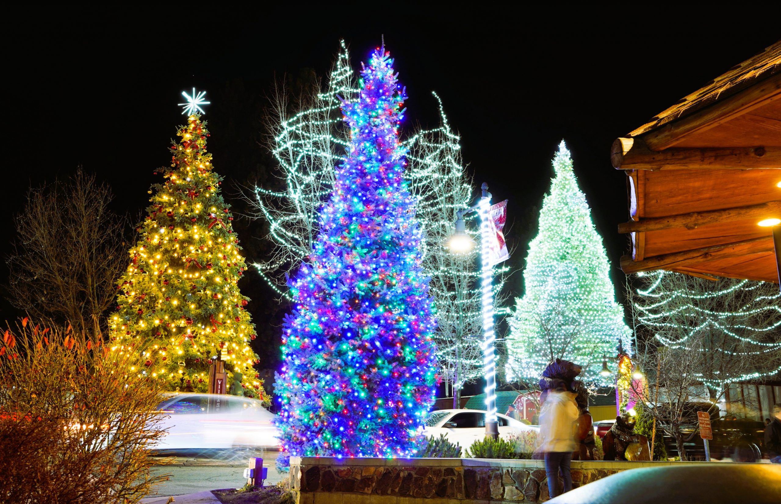 A view of a street in Big Bear Lake with multiple Christmas trees covered in colorful lights.