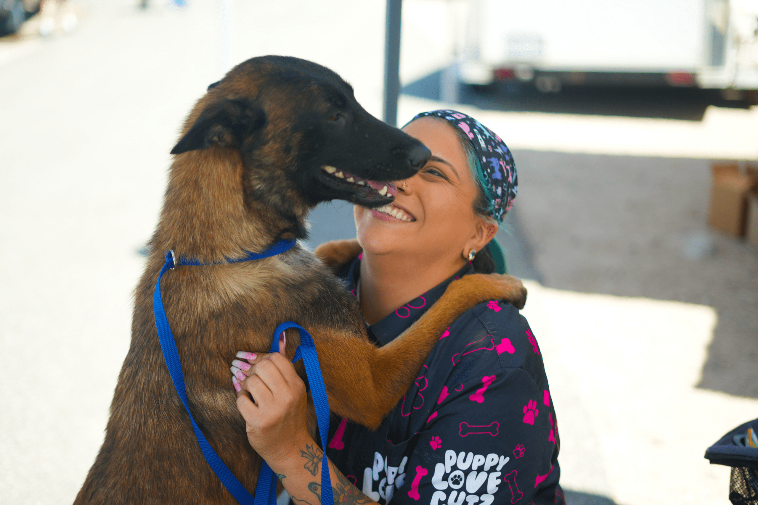 A dog standing on hind legs with paws on a groomer’s shoulders, receiving attention while on a leash.