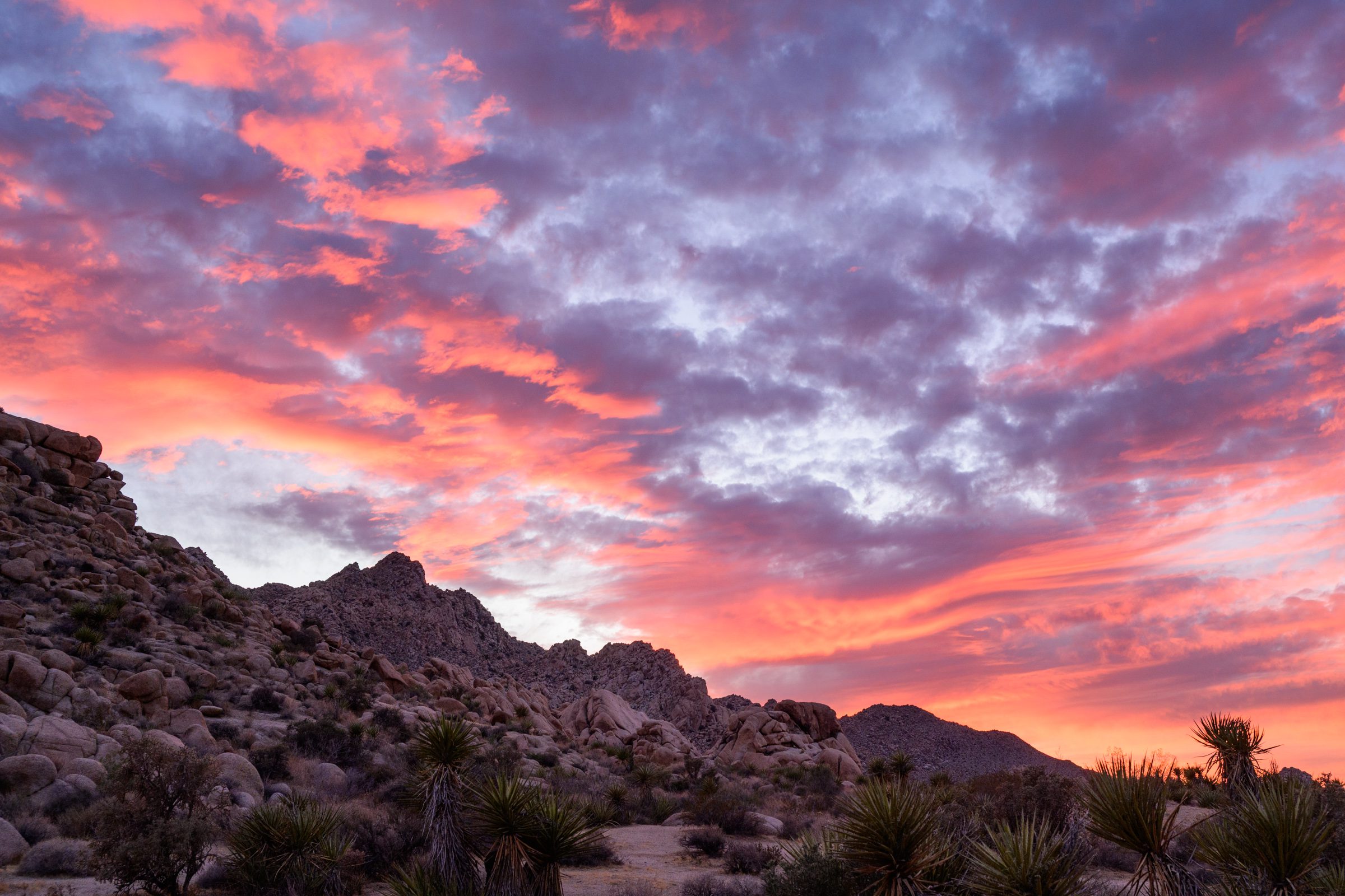 A sunset over Joshua Tree National Park with a mix of pink and orange clouds, rocky hills and Joshua trees.