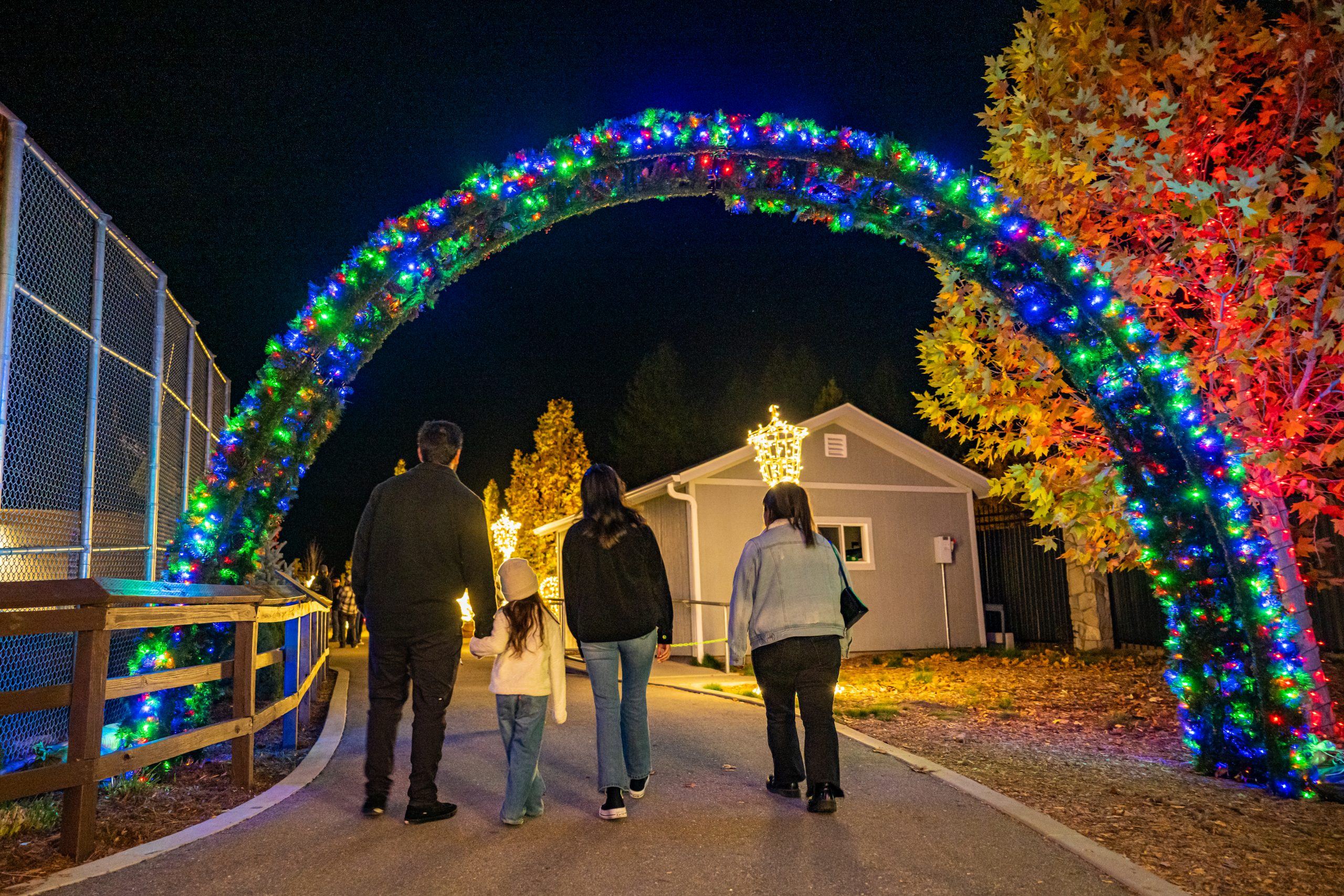 Group of people walking at night with lights at Alpine Zoo’s Wild Lights display.