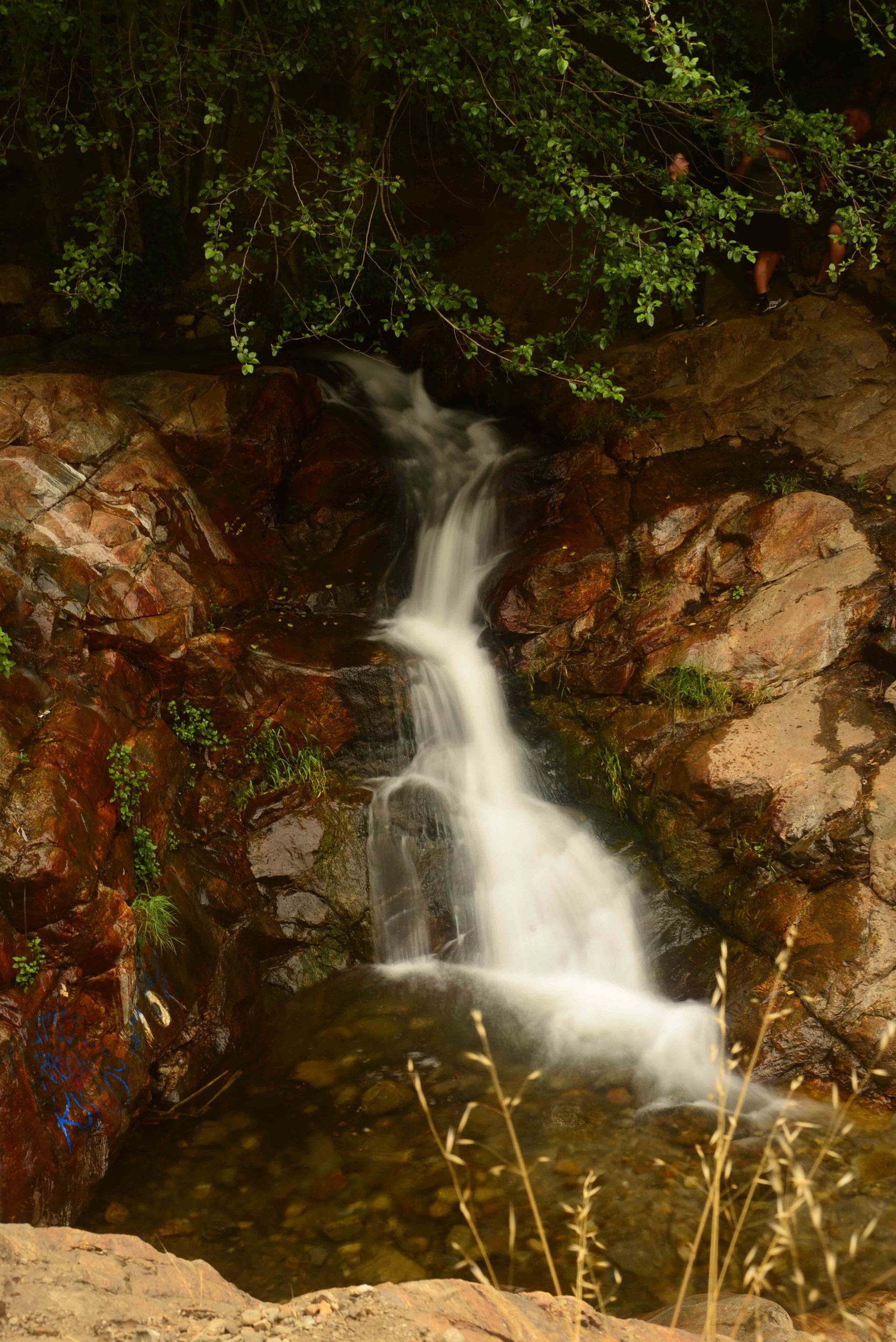 A small waterfall cascades down a rocky, red and brown rocks surrounded by green foliage.