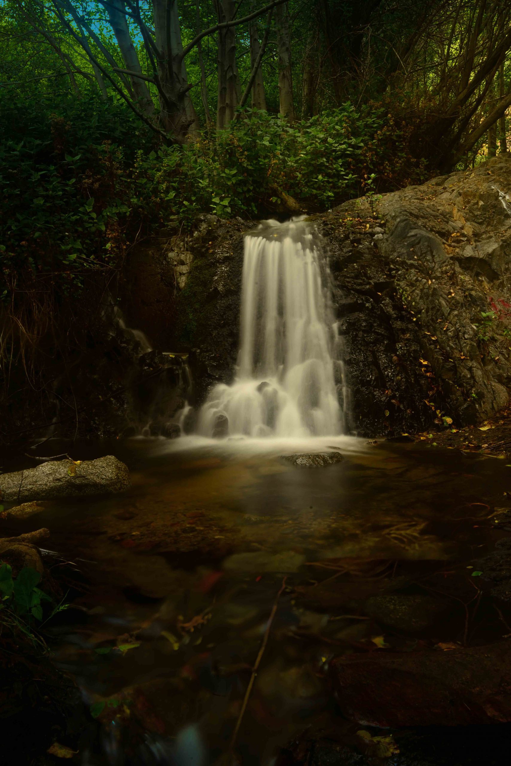 Image of a small waterfall cascading down rocks into a serene pool, surrounded by lush green foliage.